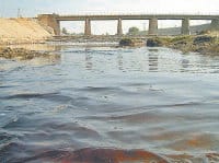 ghagher river have lot of poloution, 77 fish faimly missing, fatehabad, harayana