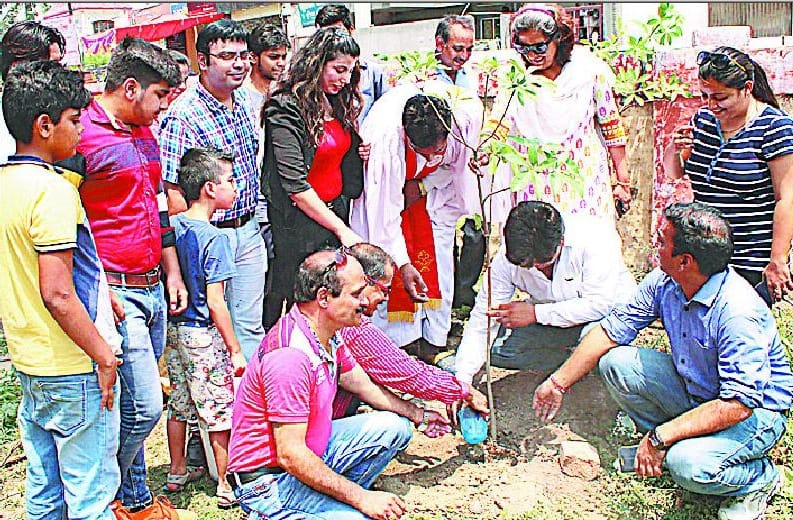 to plants, earth greens make