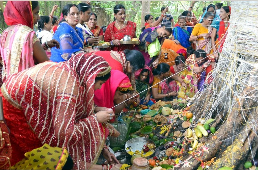 Vat Savitri worship longevity husband sought