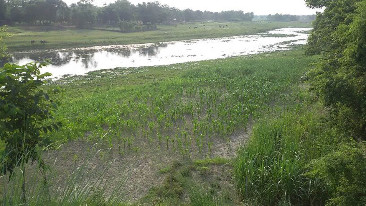 Rivers were shrinks, increased capture