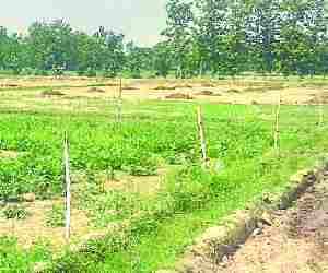 Farmer died of current flowing in farm.