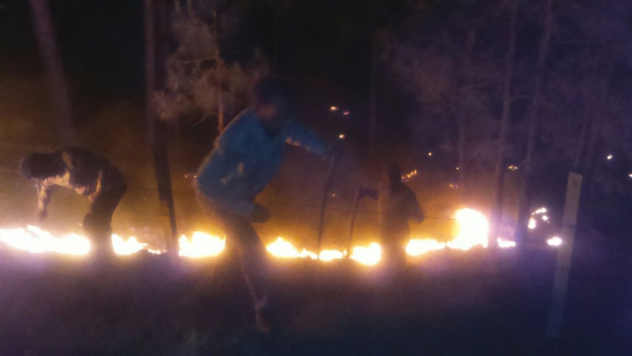Forest fire breaks out in Rajouri district of Jammu and Kashmir 