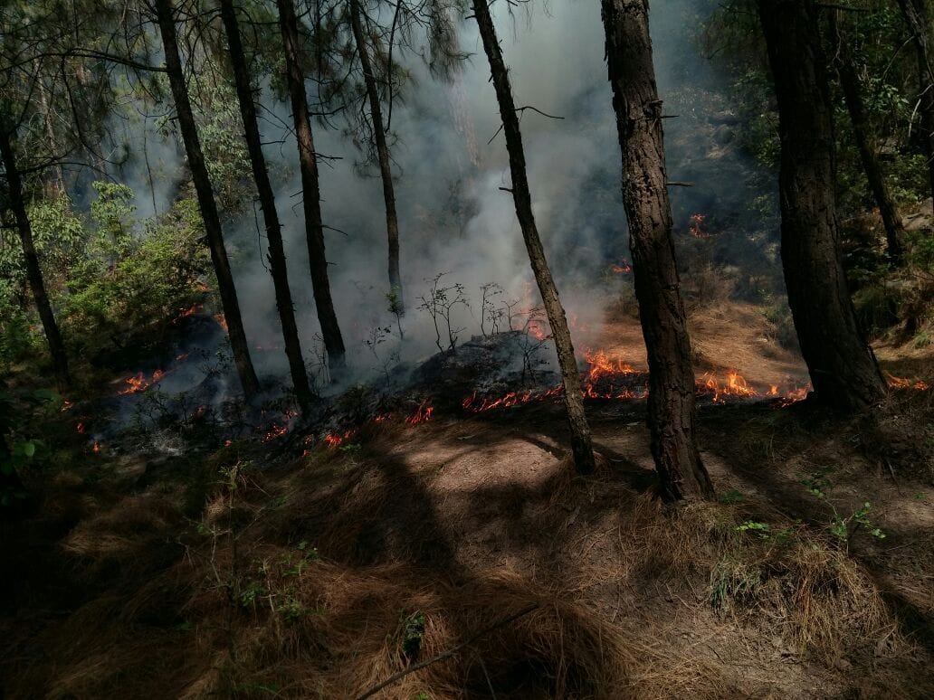 fire erupted in Kalidhar range forest 