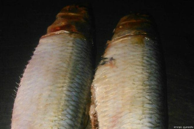 now new fish dish on narendra modi name
