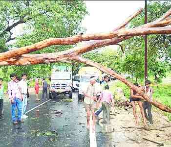 Trees fell on the highway, two-hour jam