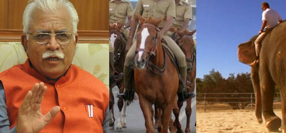 Elephant-office approach to horses officer, according to the Government sought