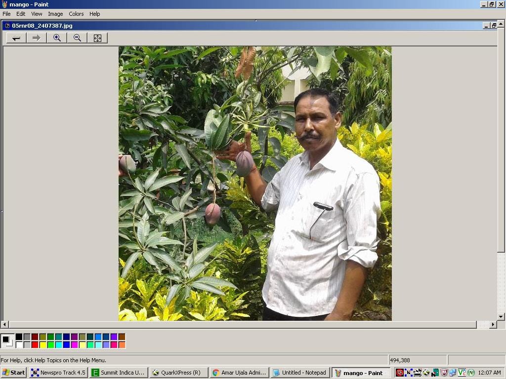 Emphasis on protecting the environment, planting trees