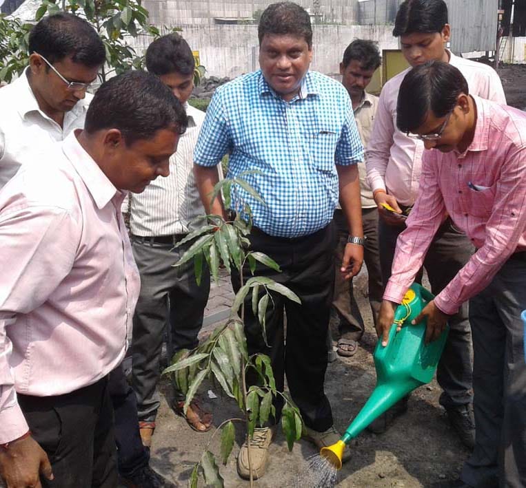 Plantation has The message of greenery