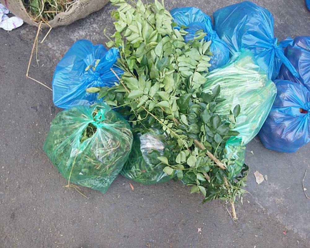 The government's ban on plastic is not enough
