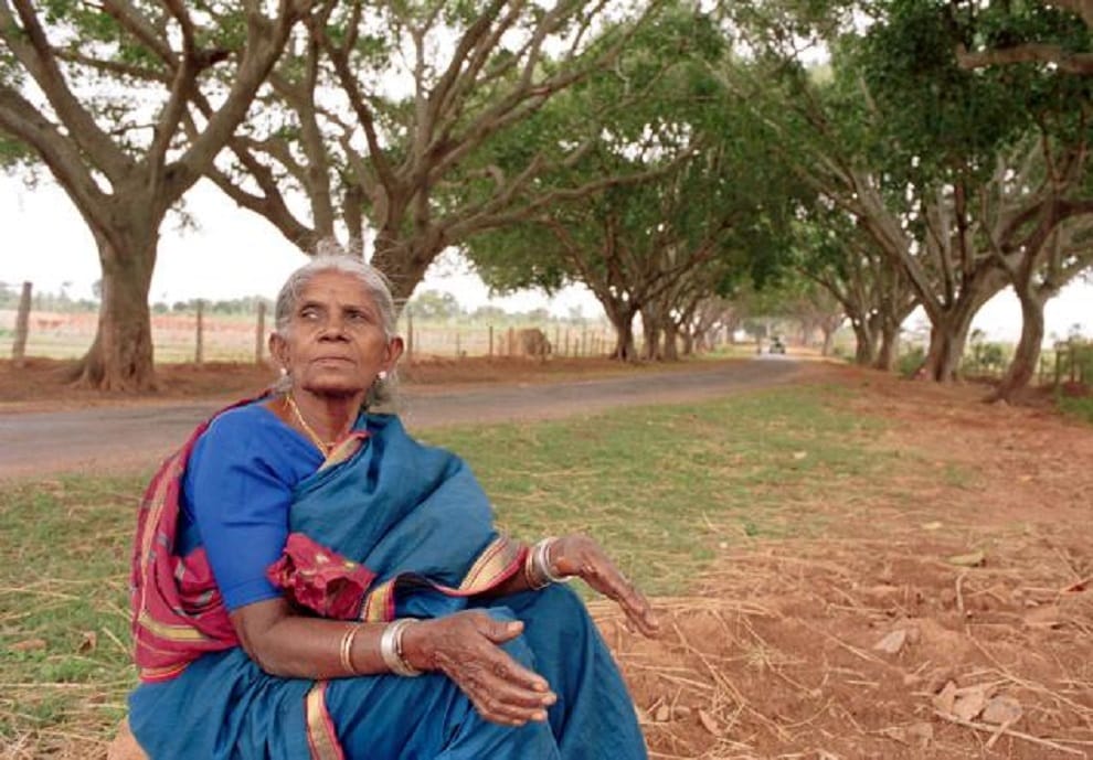 Saalumarada thimmakka an environmentalist