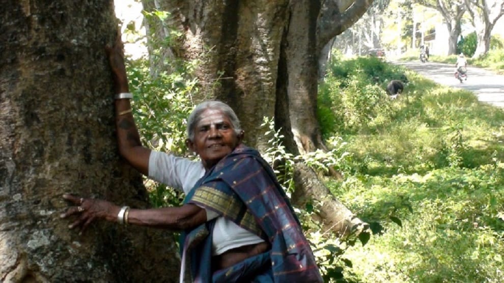 Saalumarada thimmakka an environmentalist