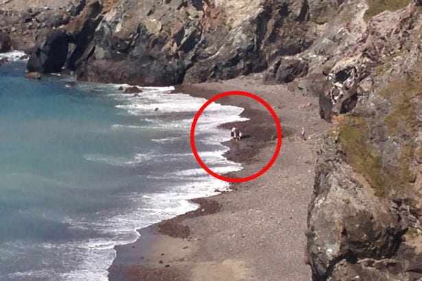 watch : man rescuing dolphin and it turned out to be a shark