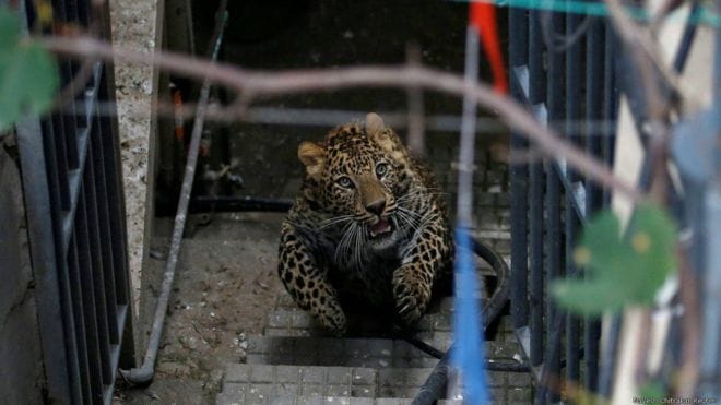 Here's what happens in the world this week know through photos