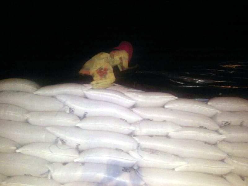  Sirhind town, grain market, wheat, Pangren, rainy, wet, Fatehgarh Sahib