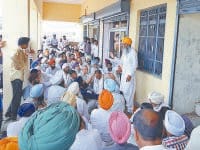 farmers agitation for sunflower crop