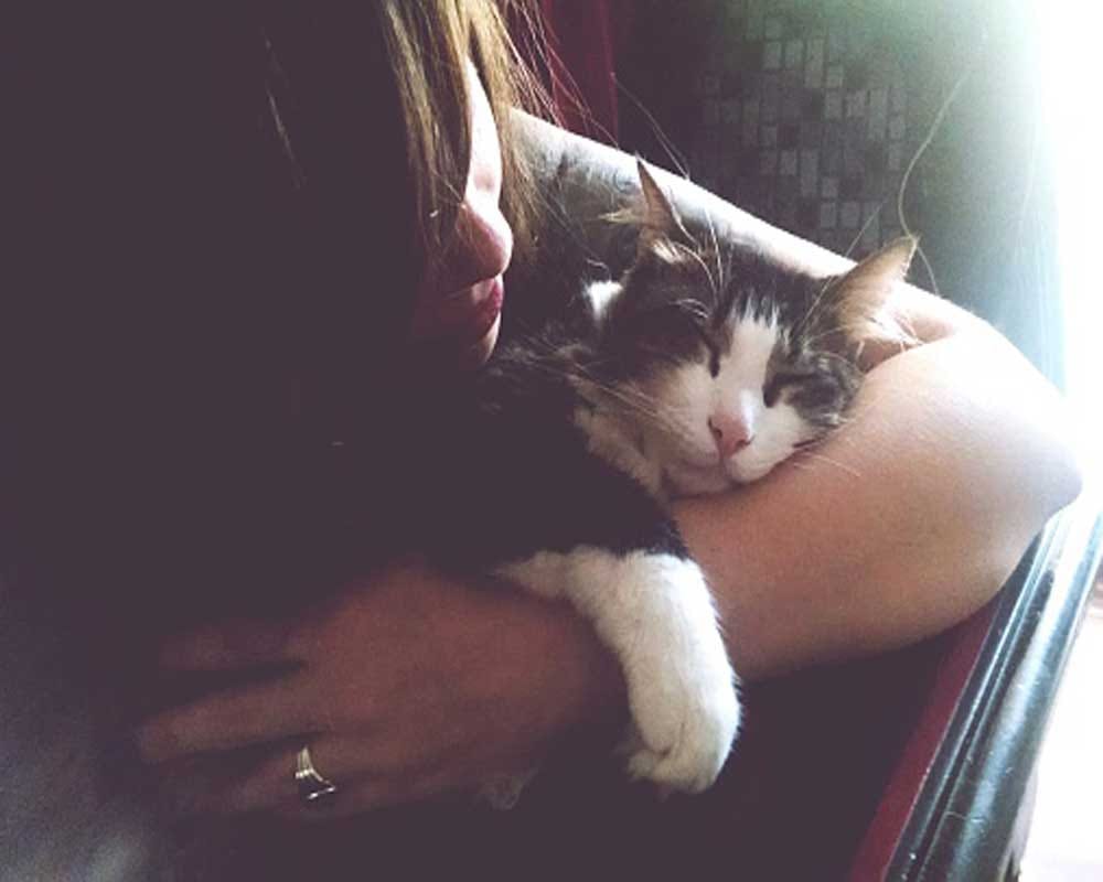 Cats are beneficial to our health