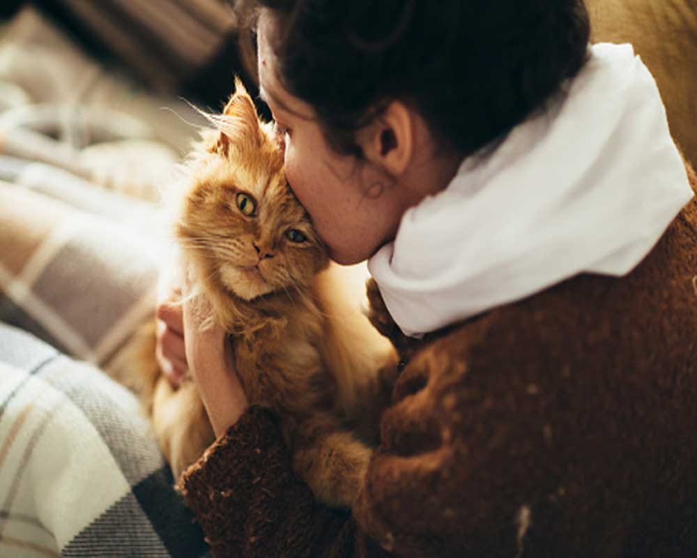 Cats are beneficial to our health