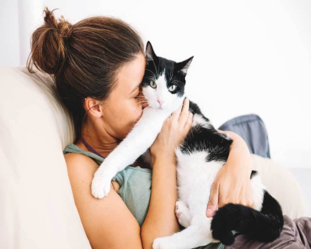 Cats are beneficial to our health