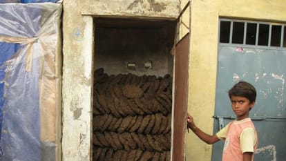  They take turns hitting the open defecation CT