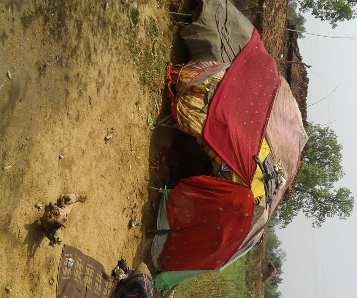 Occupy 66 acres of forest land