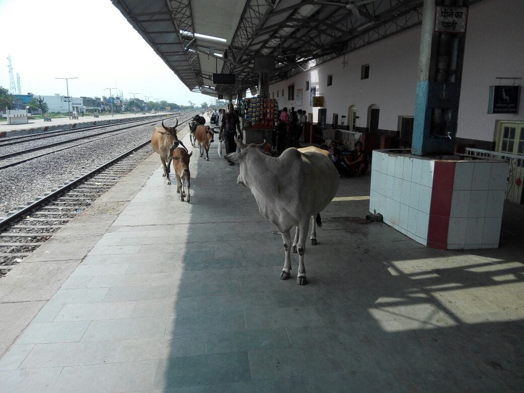 naugarh railway station condition is bad 