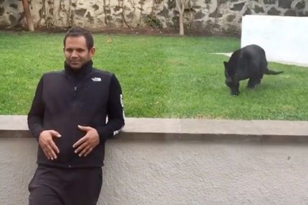 Panther attacked and leave after kiss