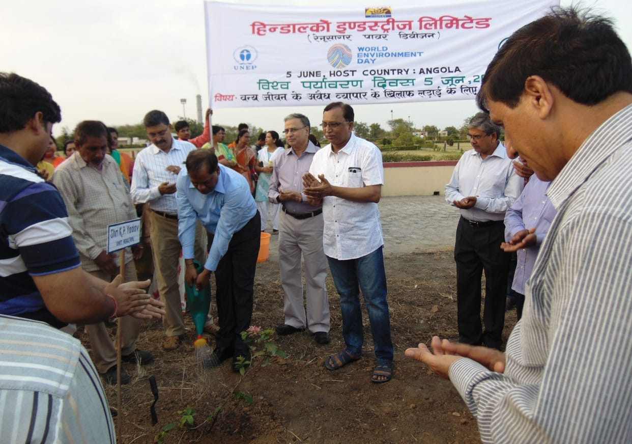 Resolution of environmental protection plantation