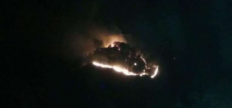 fire in Rajouri forest near loc