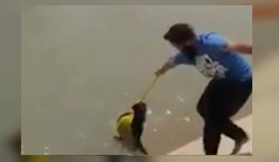 Sikh Man removed his turban to Save drowning dog’s Life, video viral