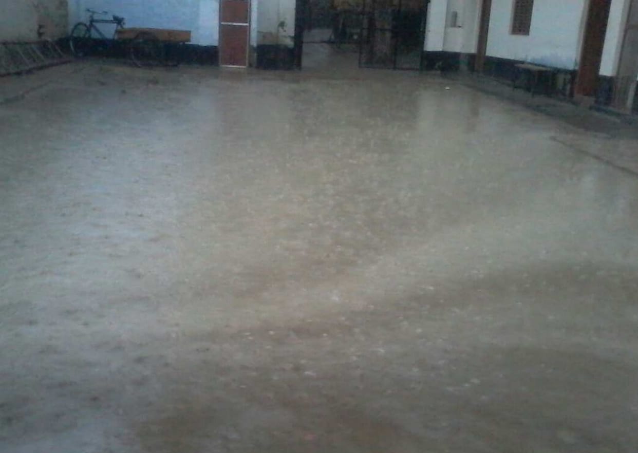 The storm caused devastation , killing five
