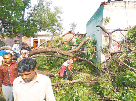 Devastation caused by the storm, pole, fallen trees, damaged houses