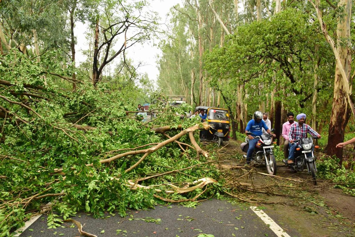 Five died because of bad weather in Uttar Pradesh.