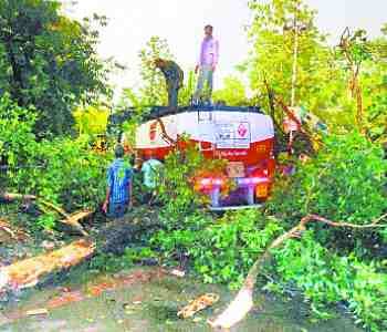 Three people died in the storm