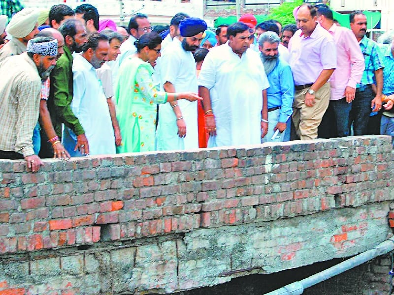 Assembly committee, parks, drains, inspection, Patiala