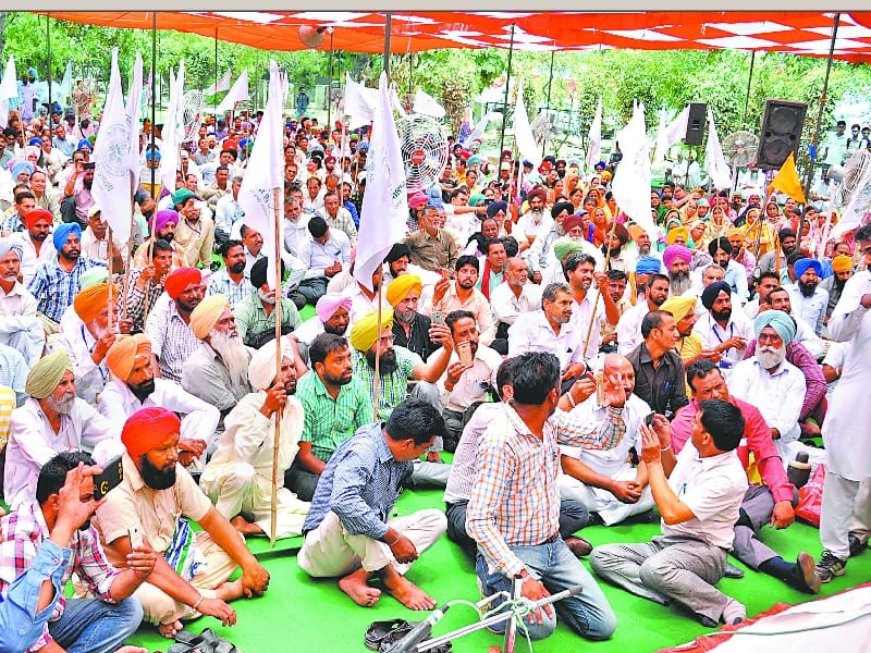 protest, chit fund company, chatar singh park, ludhiana