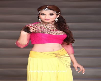 aijaz khan sent vulger message to model