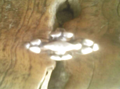 Bichia out in amethyst and broken statue