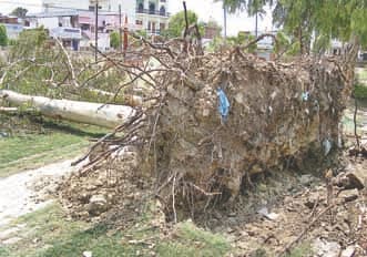 Damage from the cyclone, two of the lives