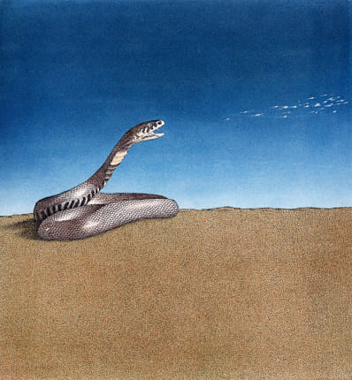 name and types of cobra according to puran and shastra