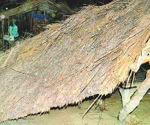 Power Fallen, a woman's death 