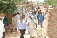 sirsa, thed, hindi, news. sirsa