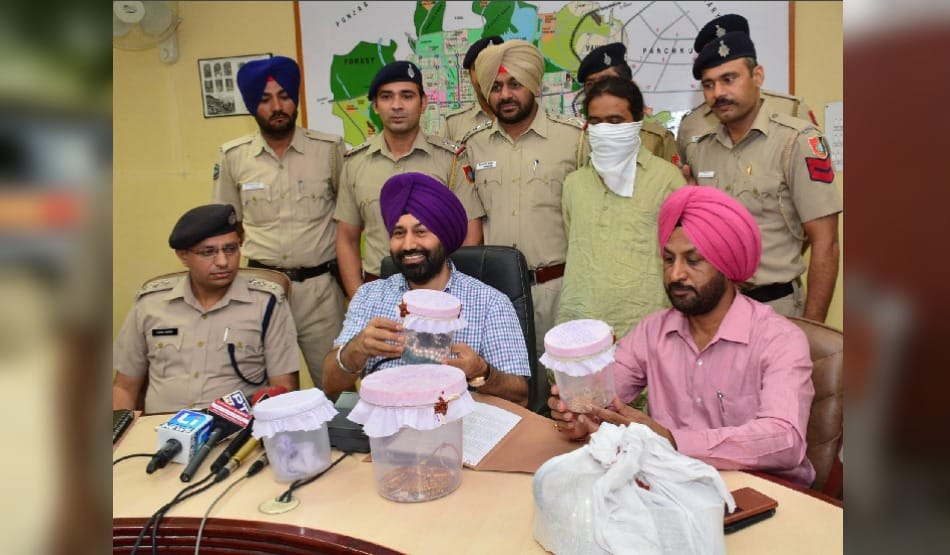 Vicious thief: theft jewelry of 38 lakhs rupees recovered from Ravi Pujari