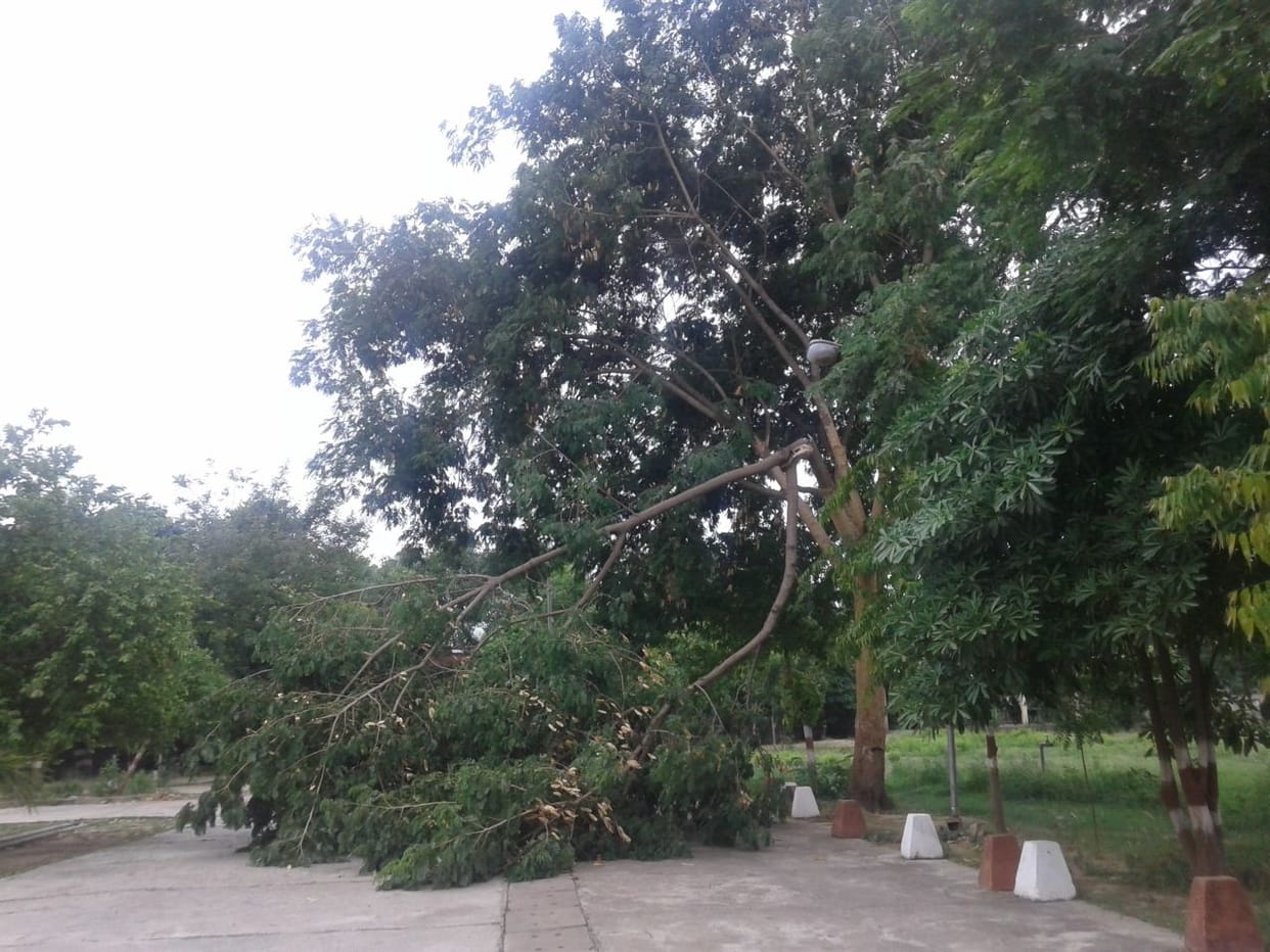 Wall and roof collapsed in the storm, boy child dead