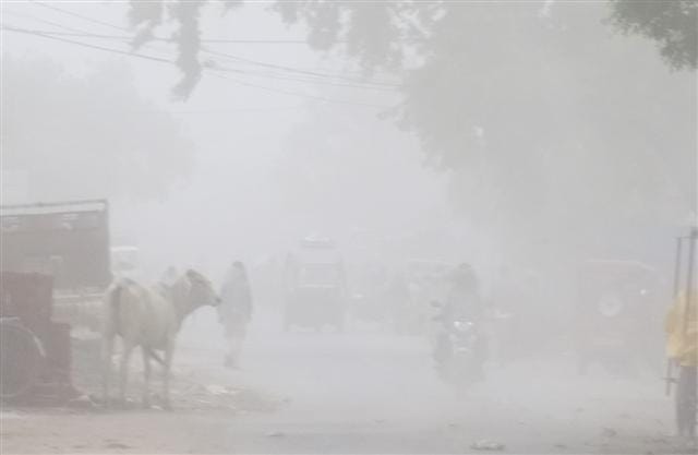 Dust storm intensified broken trees, skimming hoardings