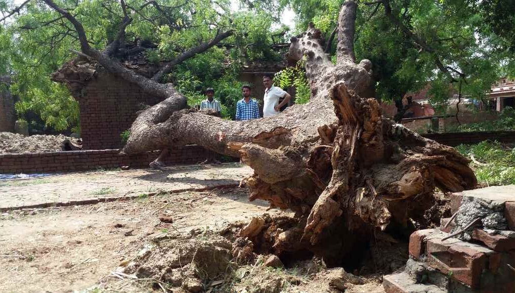  Cyclonic storm with heavy losses , two killed
