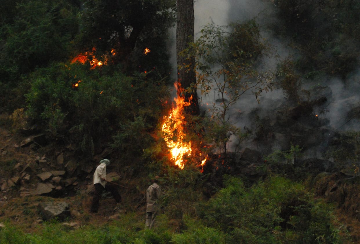 fire broke out in krishna Ghati sector's forest