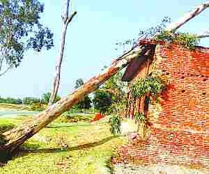 Rain and storm create havoc