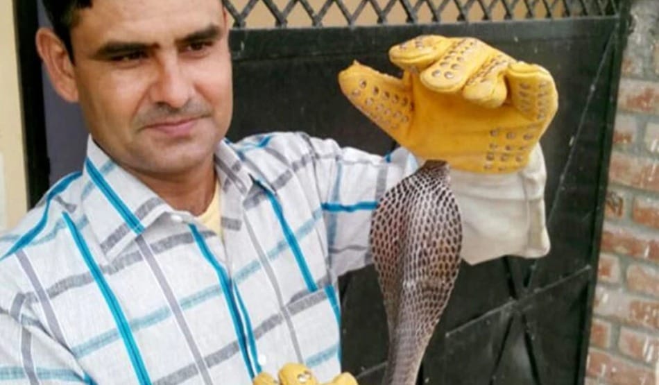 amazing, man turned into snake man after snake bites