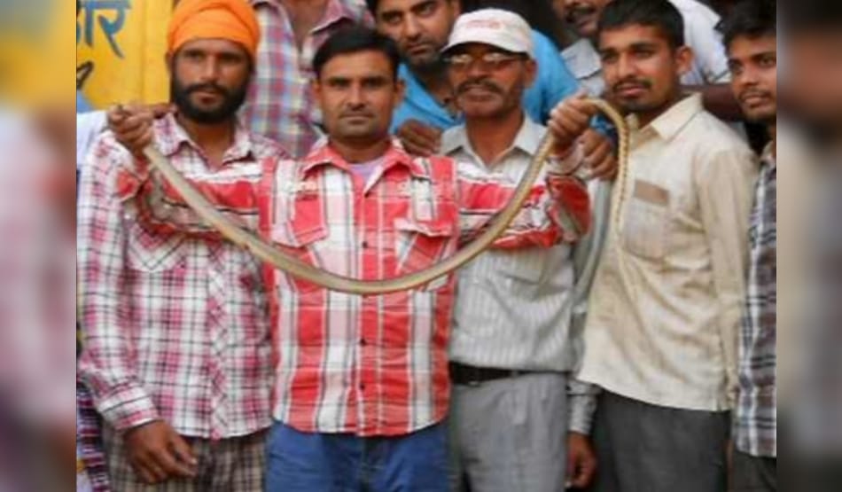 amazing, man turned into snake man after snake bites