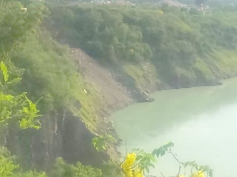 fore lane company throw dump in satluj river